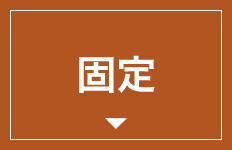 固定