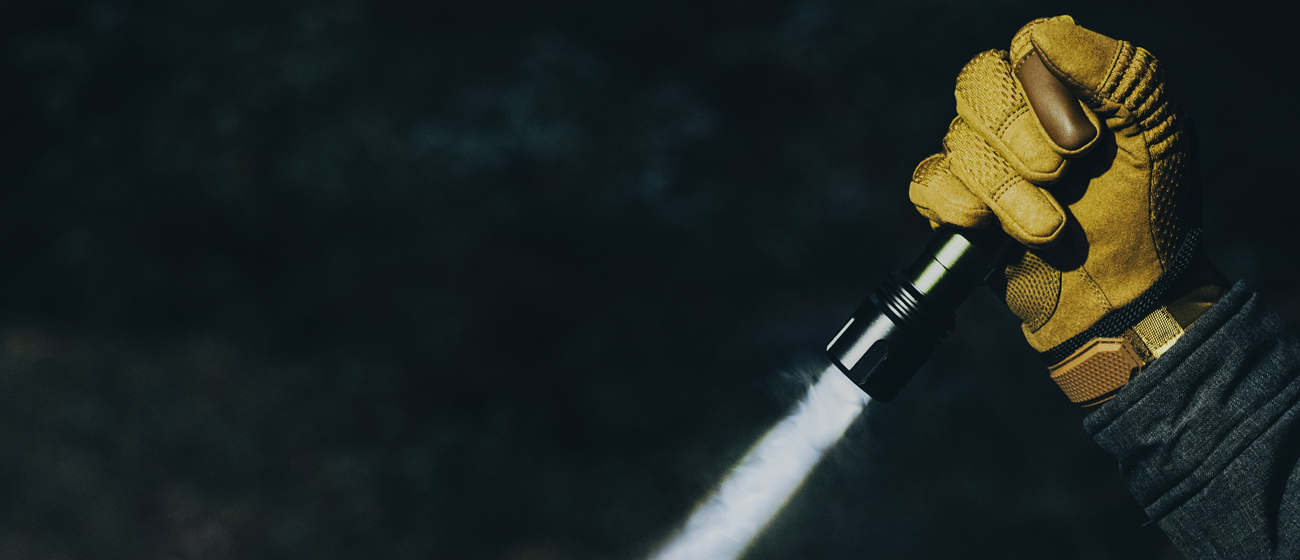 OGCハンディライト使用イメージ